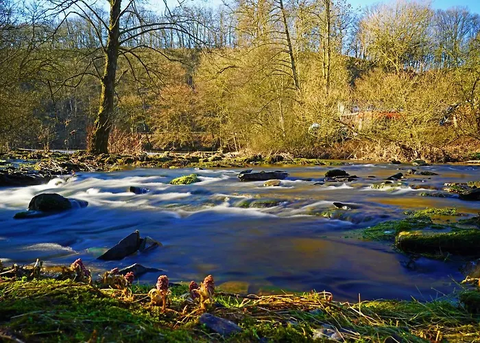 Lejlighed In Old Bockholtz